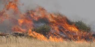A fuoco circa 200 ettari di bosco: denunciato un uomo per incendio colposo
