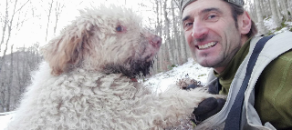 Morso da una vipera, il cane muore tra le braccia del padrone