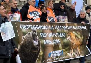 Uccisione dell’orsa Amarena: 50 associazioni chiedono di costituirsi parte civile