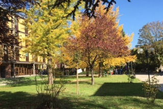 Parco Torlonia: la rinascita verde di Avezzano diventa realtà