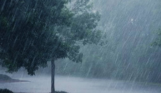 Bomba d’acqua e grandine nella Marsica: danni alle colture, chiesto lo stato di calamità naturale