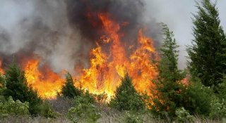 Emergenza incendi in Abruzzo: roghi a Capestrano e a Sant’Elia